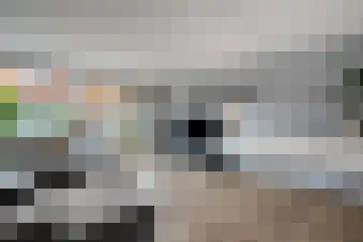 Haakmos 24 Zwolle thumbnail 17