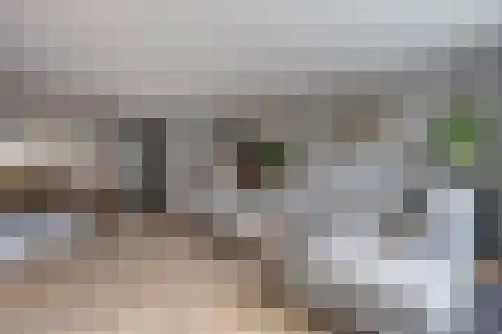 Haakmos 24 Zwolle thumbnail 18