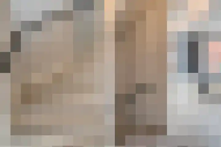 Haakmos 24 Zwolle thumbnail 19