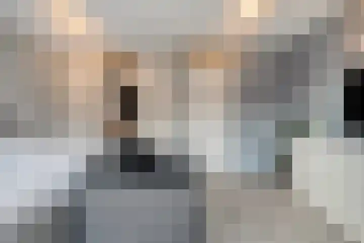 Haakmos 24 Zwolle thumbnail 22