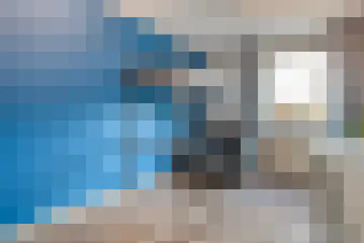 Haakmos 24 Zwolle thumbnail 23