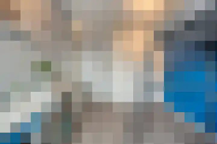 Haakmos 24 Zwolle thumbnail 24