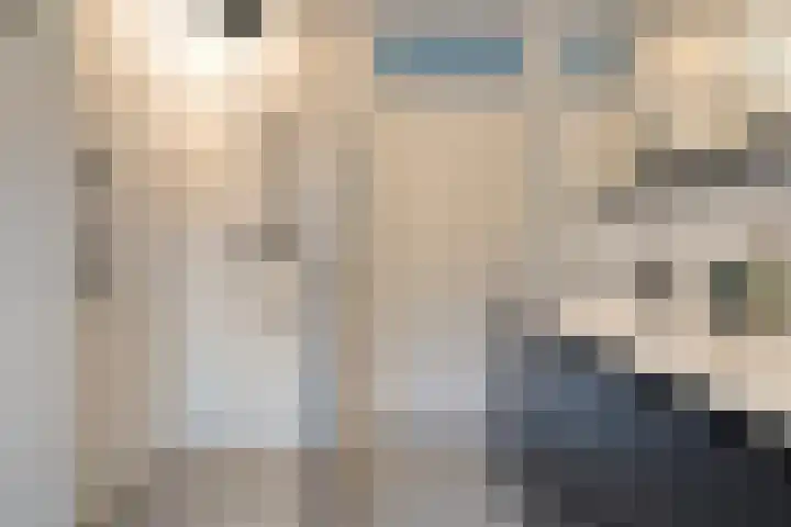Haakmos 24 Zwolle thumbnail 26