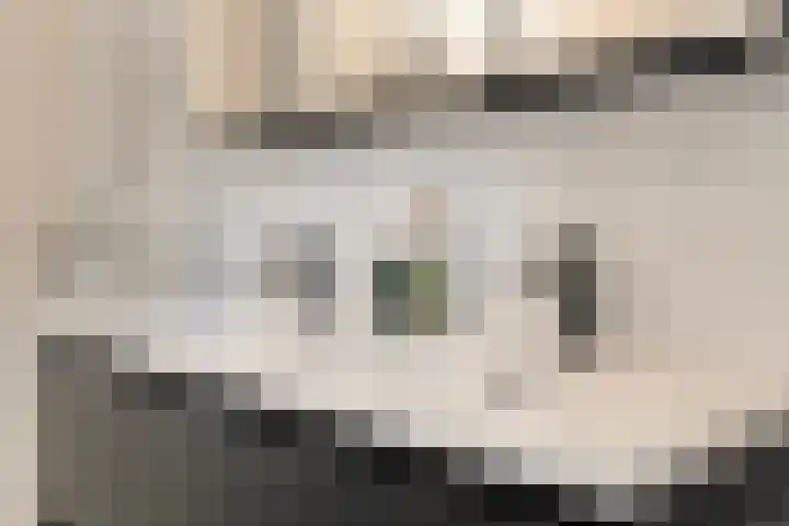 Haakmos 24 Zwolle thumbnail 28