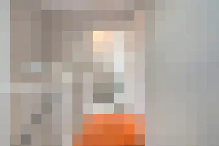 Haakmos 24 Zwolle thumbnail 29