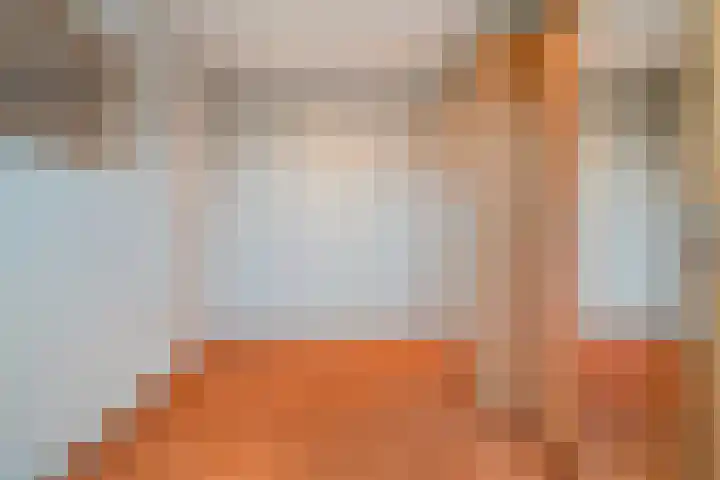 Haakmos 24 Zwolle thumbnail 35