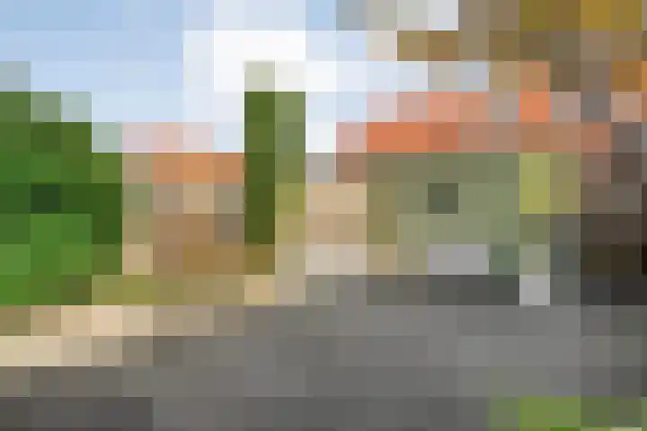 Haakmos 24 Zwolle thumbnail 36
