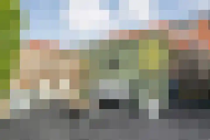 Haakmos 24 Zwolle thumbnail 37