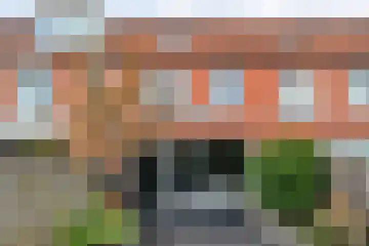 Haakmos 24 Zwolle thumbnail 38