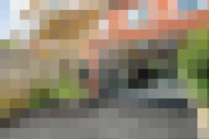 Haakmos 24 Zwolle thumbnail 39