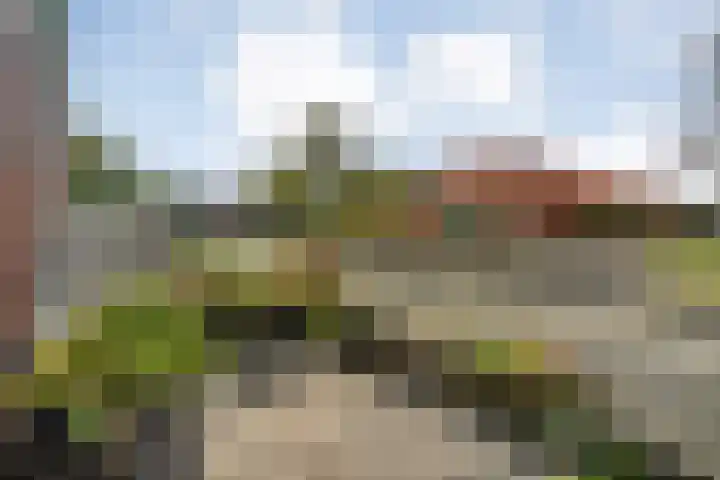 Haakmos 24 Zwolle thumbnail 4