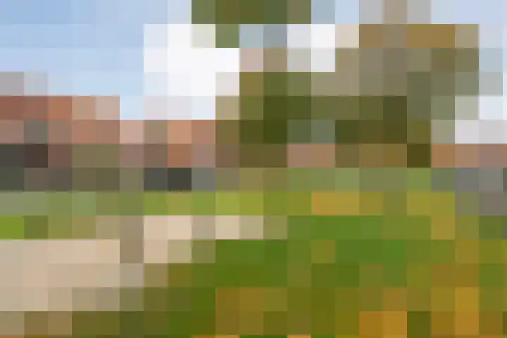 Haakmos 24 Zwolle thumbnail 41