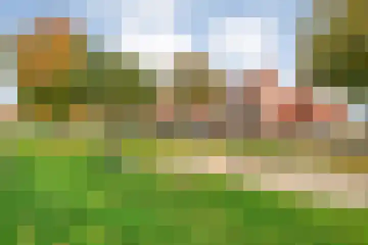 Haakmos 24 Zwolle thumbnail 43