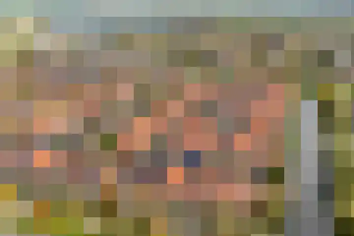 Haakmos 24 Zwolle thumbnail 45