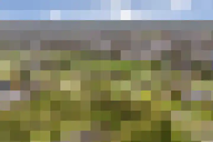 Haakmos 24 Zwolle thumbnail 46