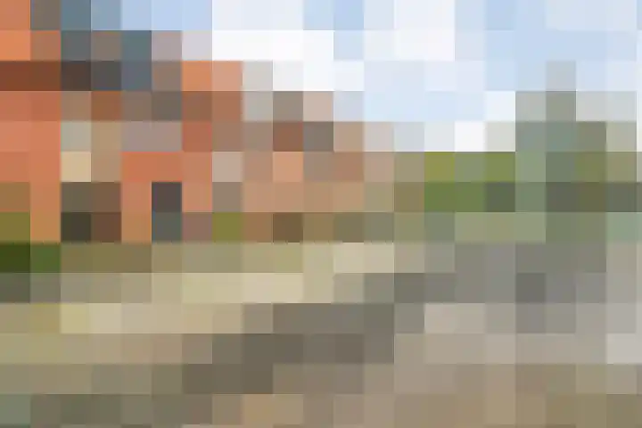 Haakmos 24 Zwolle thumbnail 5