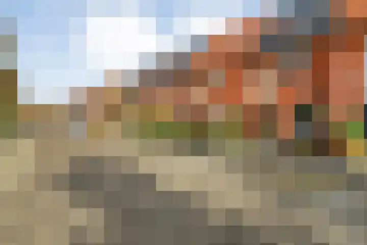Haakmos 24 Zwolle thumbnail 6