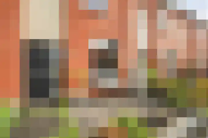 Haakmos 24 Zwolle thumbnail 7