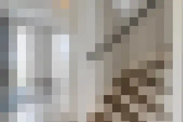 Haakmos 24 Zwolle thumbnail 8