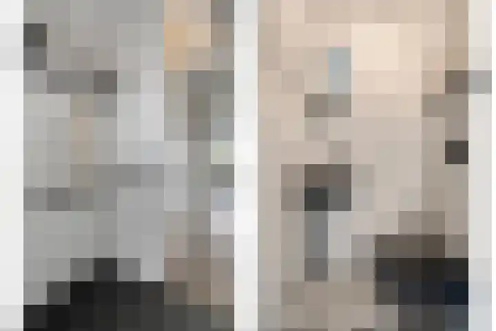 Haakmos 24 Zwolle thumbnail 9