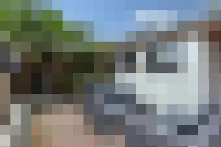 Haaksbergerstraat 4 Hengelo thumbnail 38