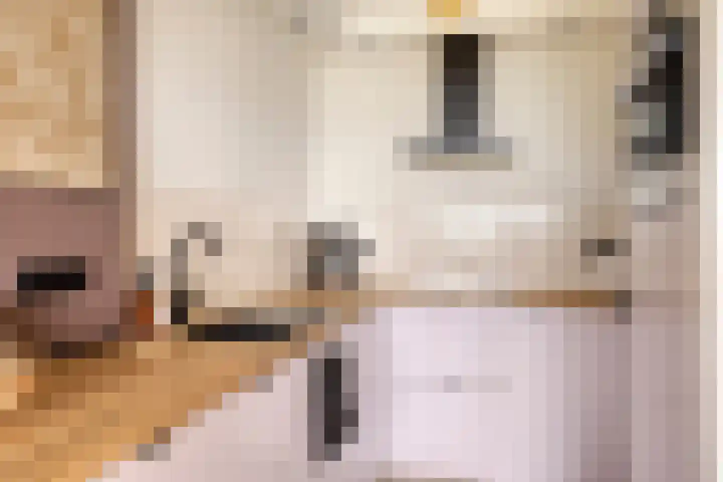 Haaksbergerstraat 496 Enschede thumbnail 17