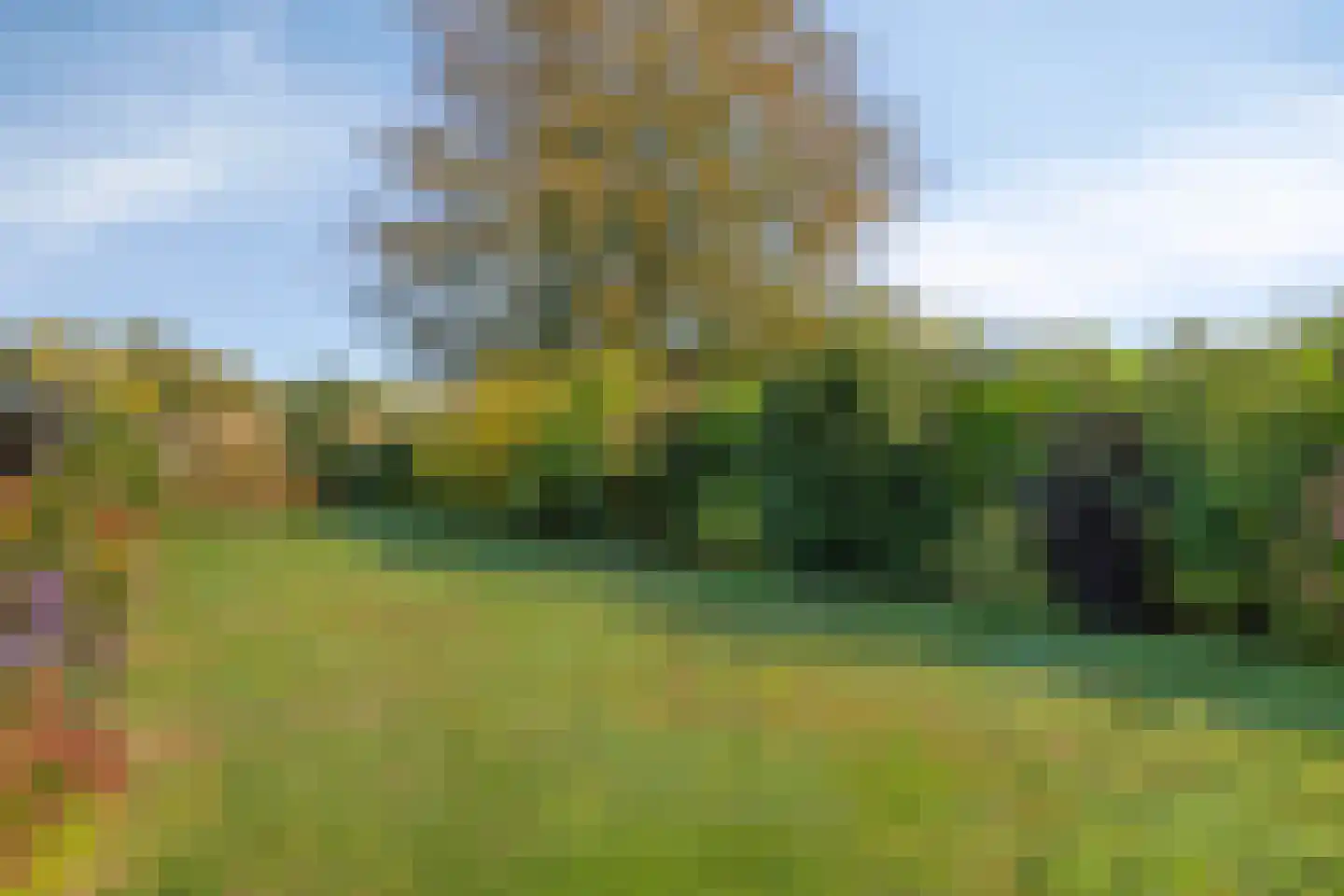 Haaksbergerweg 23 Goor thumbnail 5