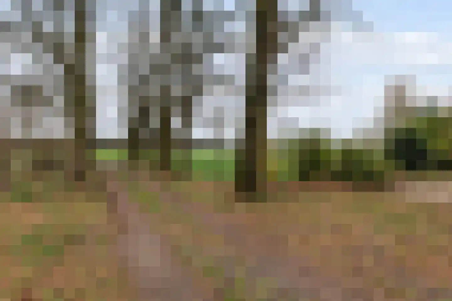 Haaksbergerweg 31 Haaksbergen thumbnail 55