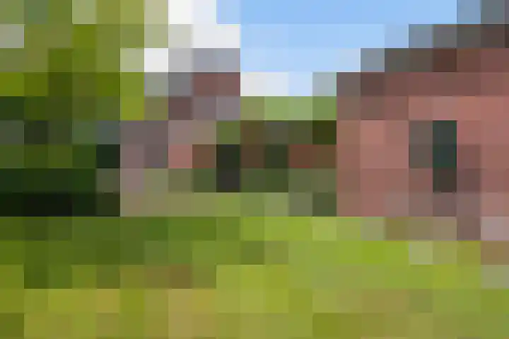 Haaksbergerweg 9 Goor thumbnail 13