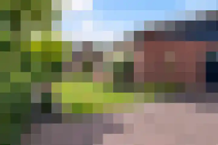 Haaksbergerweg 9 Goor thumbnail 6