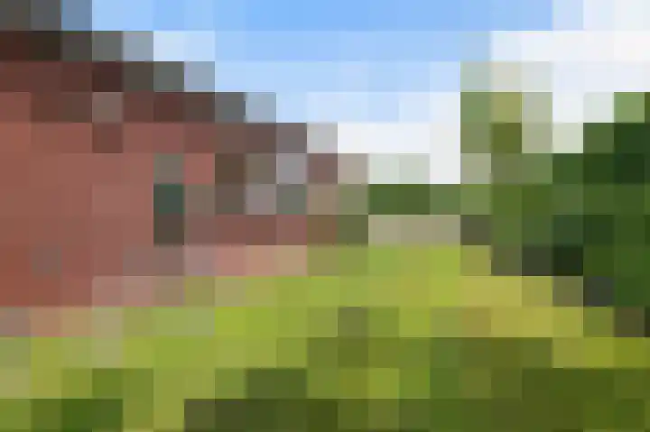 Haaksbergerweg 9 Goor thumbnail 7
