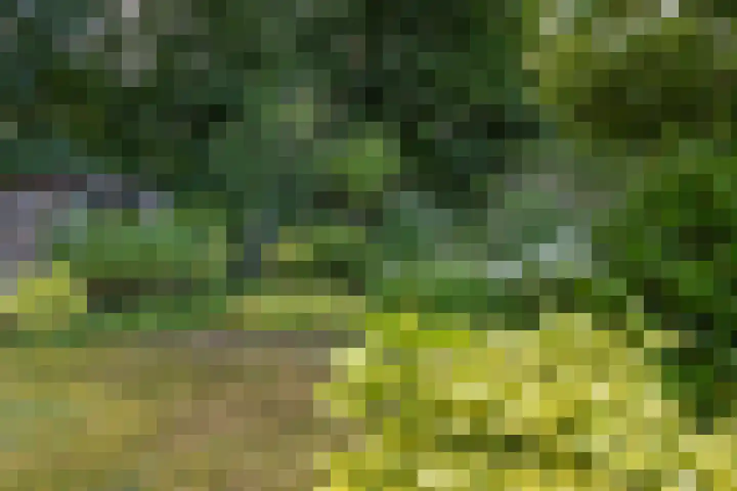 Haaksbergseweg 118 Neede thumbnail 43
