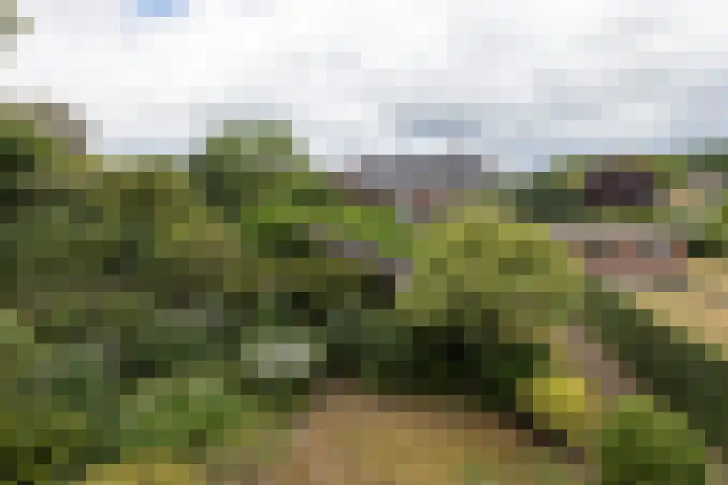 Haaksbergseweg 118 Neede thumbnail 45
