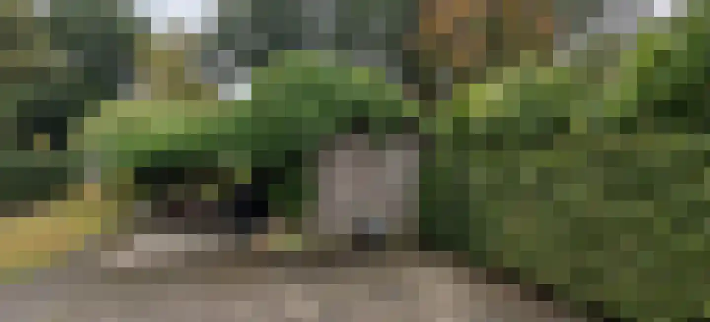 Haaksbergseweg 118 Neede thumbnail 47