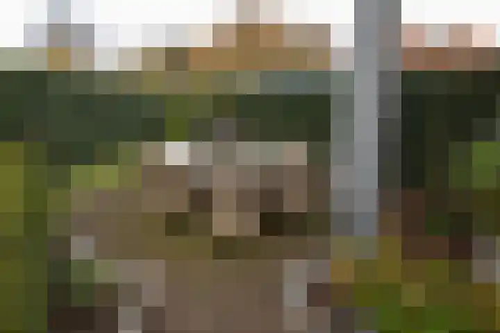 Haaksbergseweg 7 Neede thumbnail 35