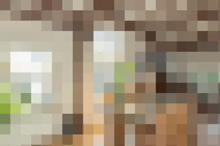 Haaksbergseweg 7 Neede thumbnail 6