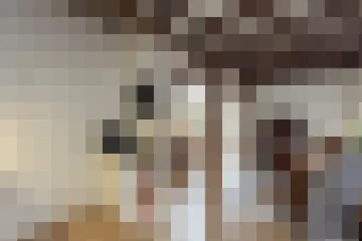 Haaksbergseweg 7 Neede thumbnail 8