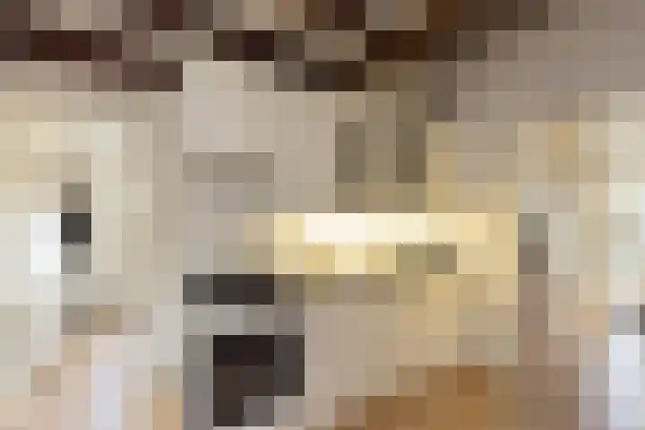 Haaksbergseweg 7 Neede thumbnail 9