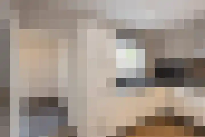 Haaksbergseweg 74 a Neede thumbnail 8
