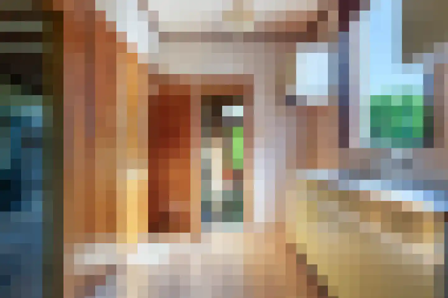 Haaksbergseweg 88 Neede thumbnail 15