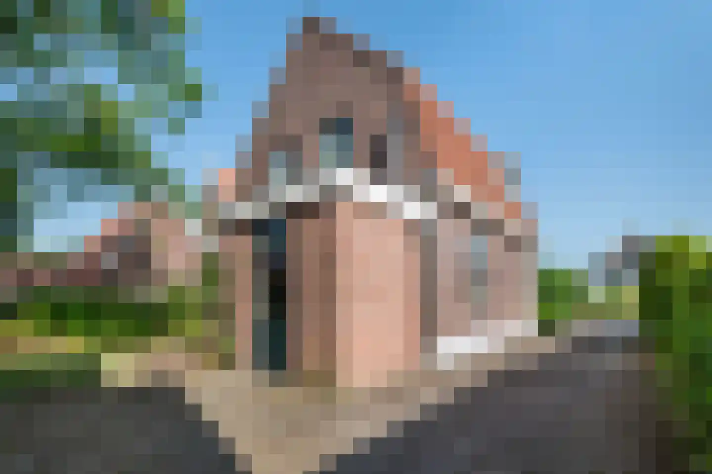 Haaksbergseweg 88 Neede thumbnail 30