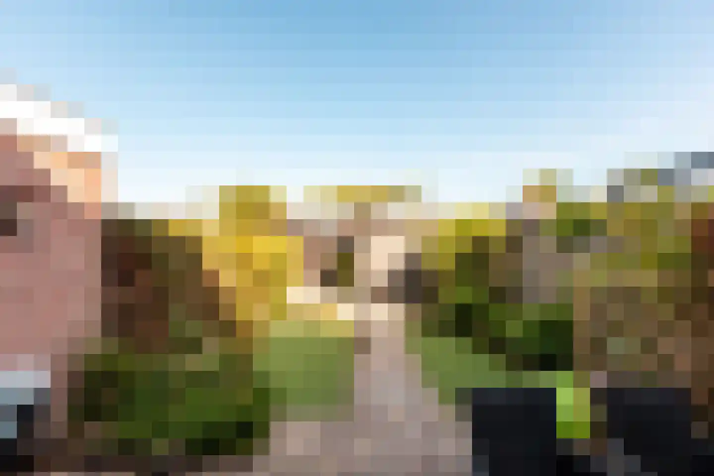 Haaksepad 5 Harderwijk thumbnail 31
