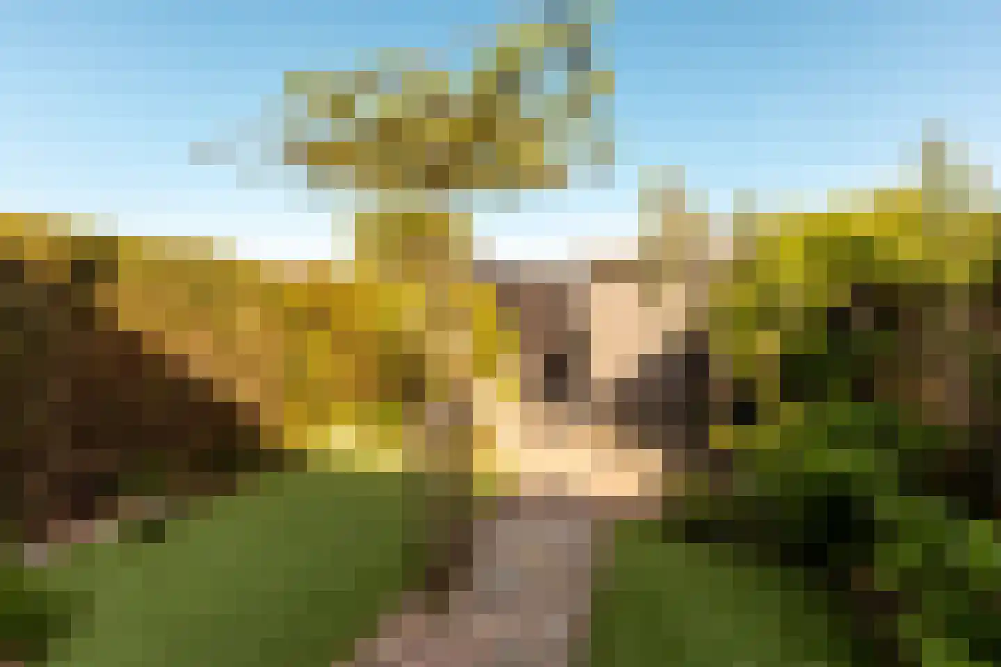 Haaksepad 5 Harderwijk thumbnail 33
