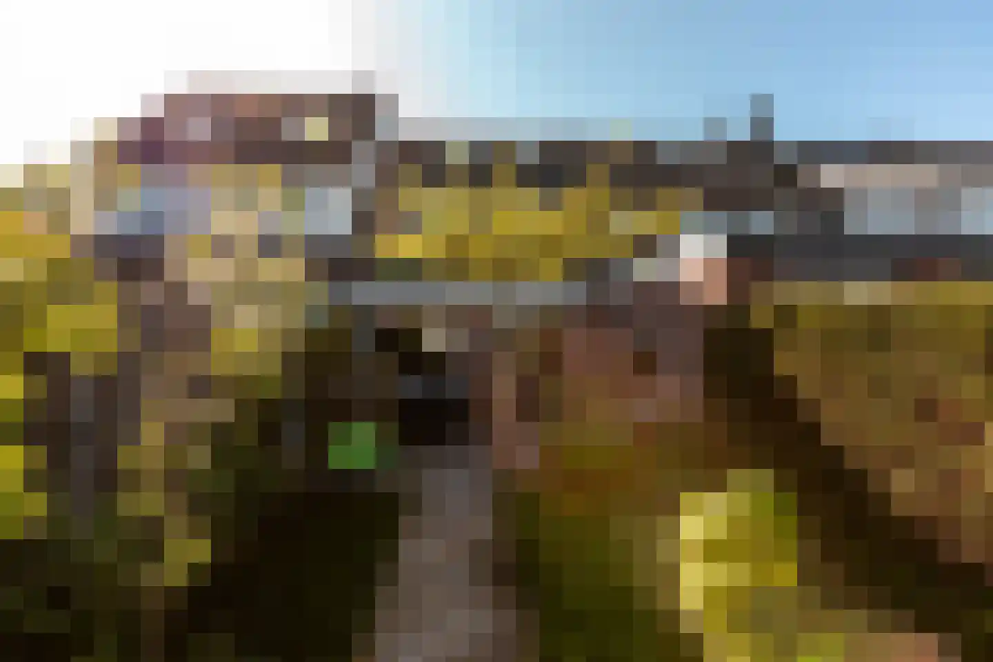 Haaksepad 5 Harderwijk thumbnail 34