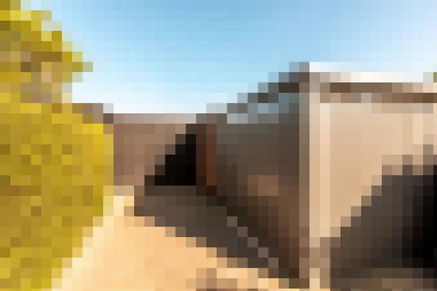 Haaksepad 5 Harderwijk thumbnail 35