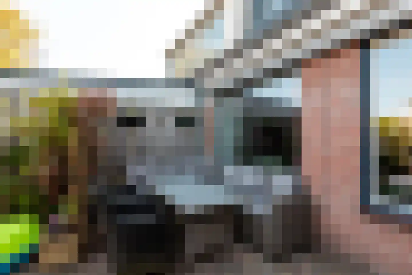 Haaksepad 5 Harderwijk thumbnail 36