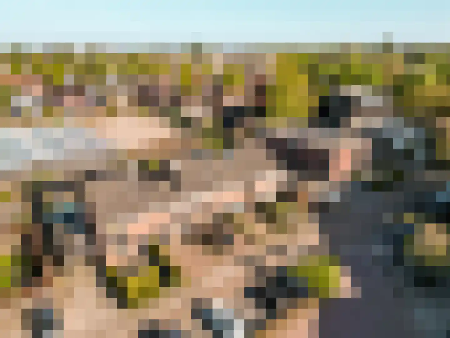 Haaksepad 5 Harderwijk thumbnail 41
