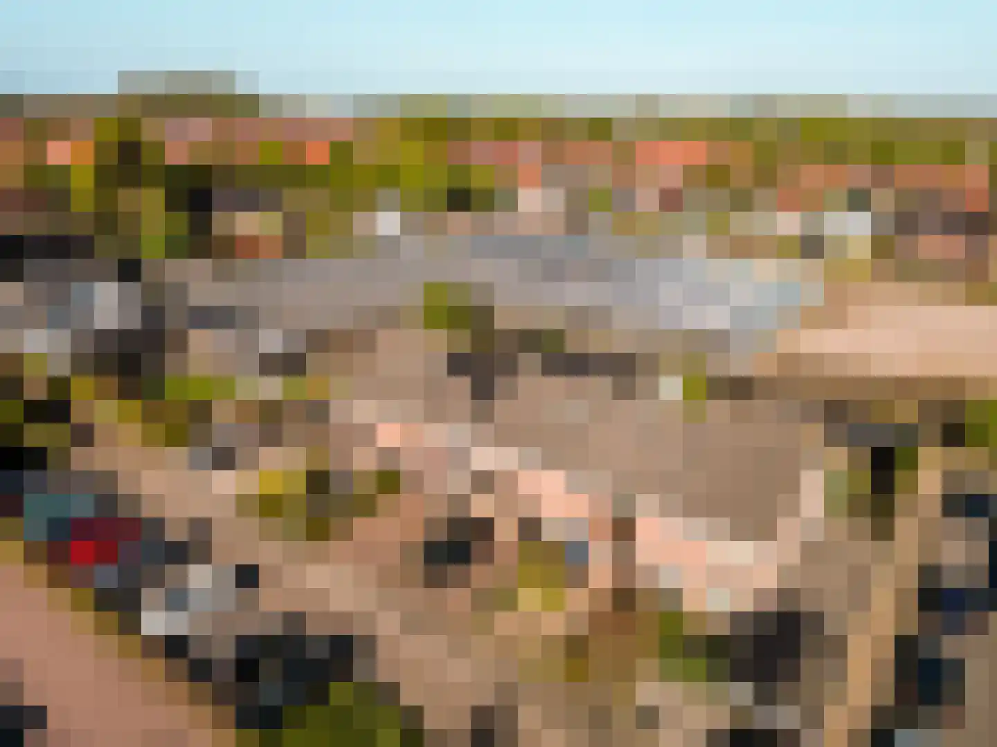 Haaksepad 5 Harderwijk thumbnail 43