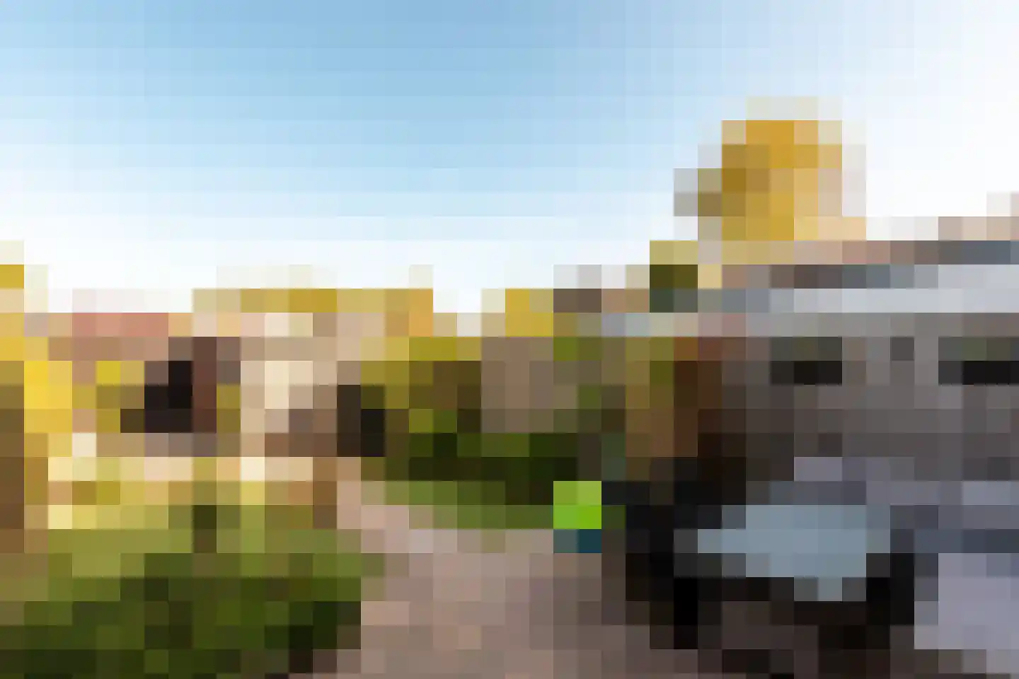 Haaksepad 5 Harderwijk thumbnail 6