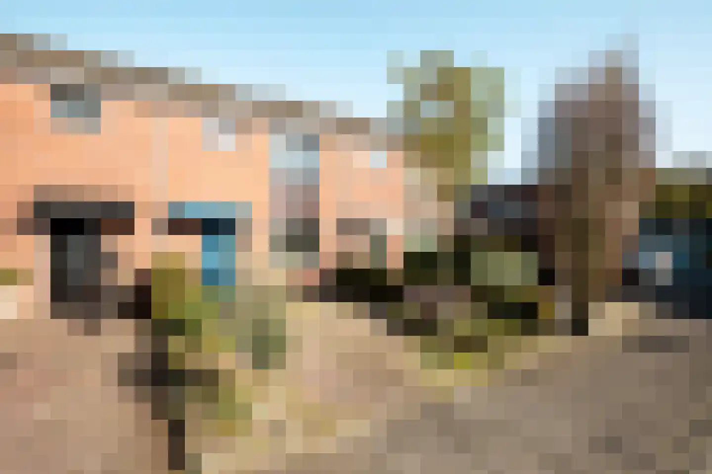 Haaksepad 5 Harderwijk thumbnail 7